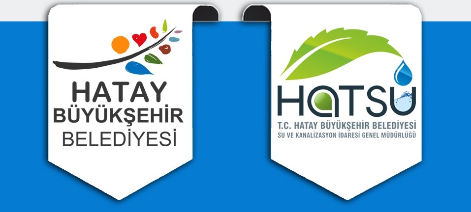 Hatsu